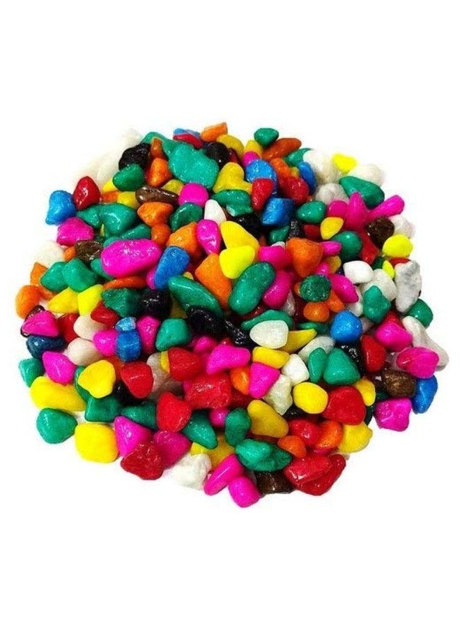 Afast Multicolor Pabbles/Stone for Garden, Plants, Aquarium & Home Decor, Marvels, Decoration, Fish Aquarium, Vase Filler, 0.5 KG -AJ1 - Image 1